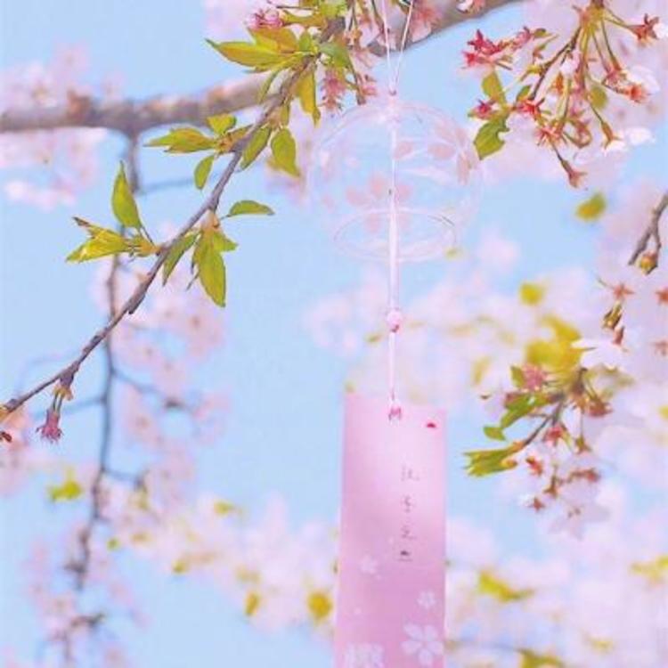 青木崇高（饰 相乐左之助） - 游戏直播实时在线观看 - 在线观影